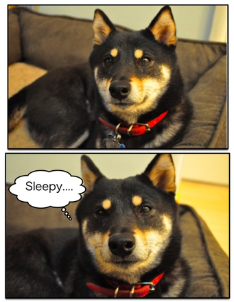 Page_1.jpg