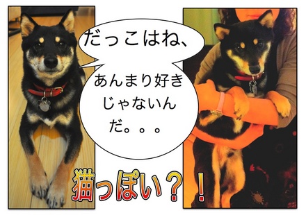 Page_3.jpg