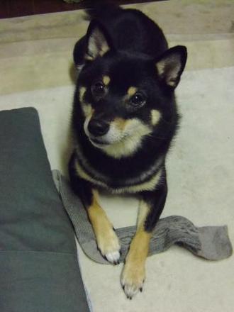 2011121118021844a.jpeg