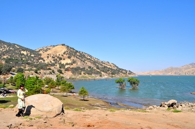 DSC_0444.JPG