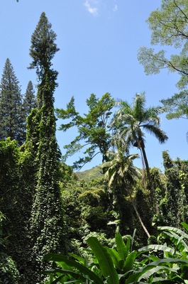 DSC_1035.JPG