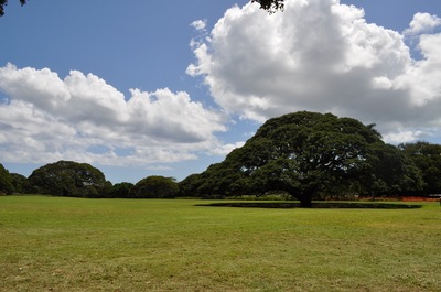 DSC_1040.JPG
