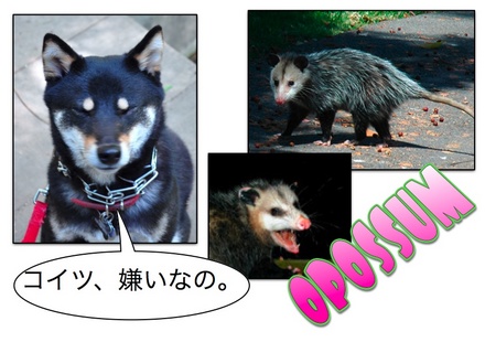 Page_1.jpg