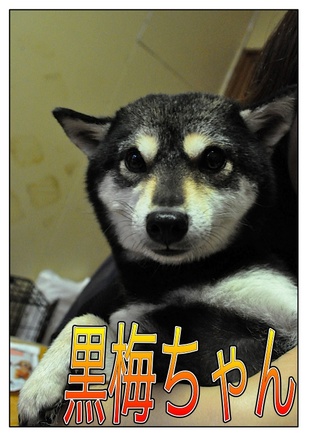 Page_1.jpg