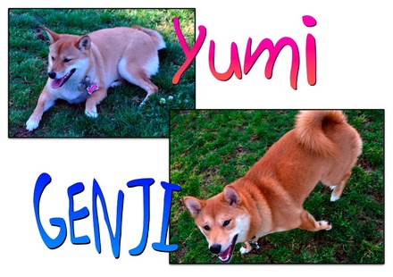 Page_1.jpg