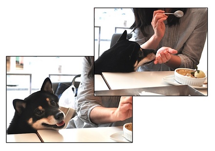 Page_2.jpg