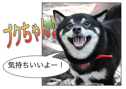 Page_2.jpg