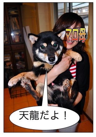 Page_2.jpg