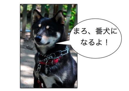 Page_3.jpg