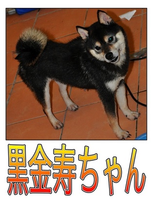Page_3.jpg